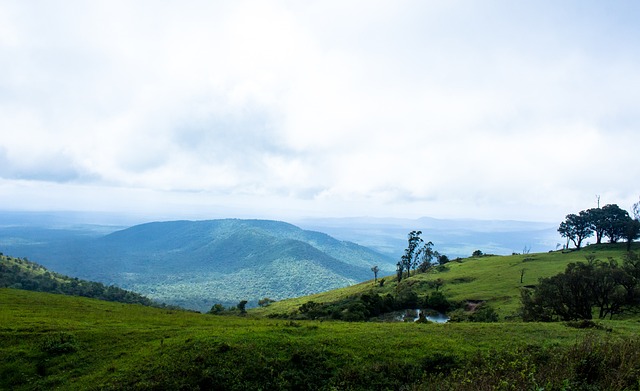 了巨大努力 了巨大努力
