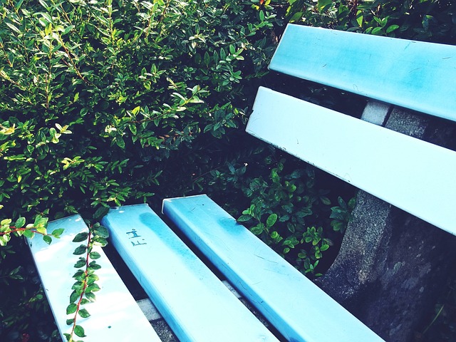 球队渴望聘 球队渴望聘