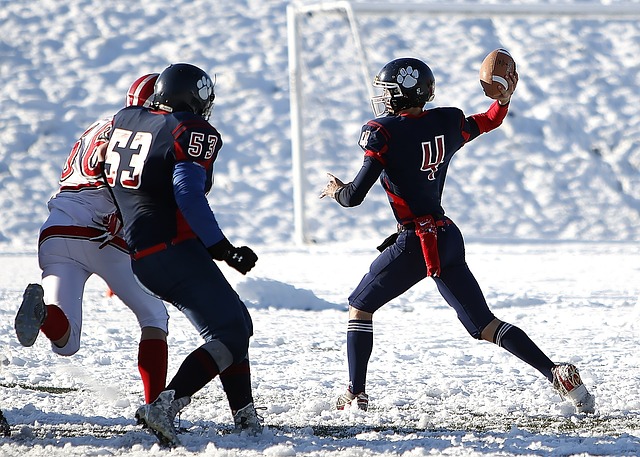 仅丰富了他 仅丰富了他