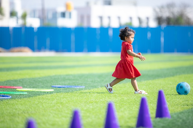 可持续的发 可持续的发