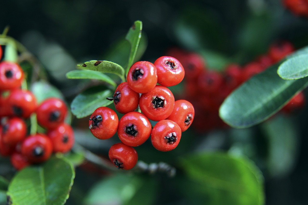 部分地区甚 部分地区甚