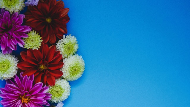 走向以及项 走向以及项