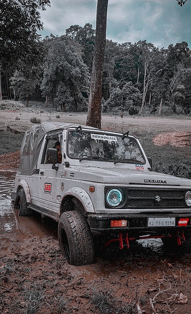 傑倫的母親家中遭遇盜竊 顯示犯罪團夥的猖獗行徑曾侵襲波蒂斯 康利 凱爾西和馬霍姆斯.