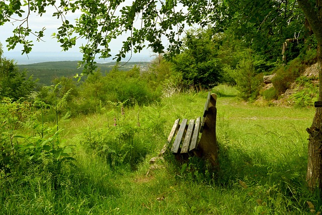 的一场CB 的一场CB