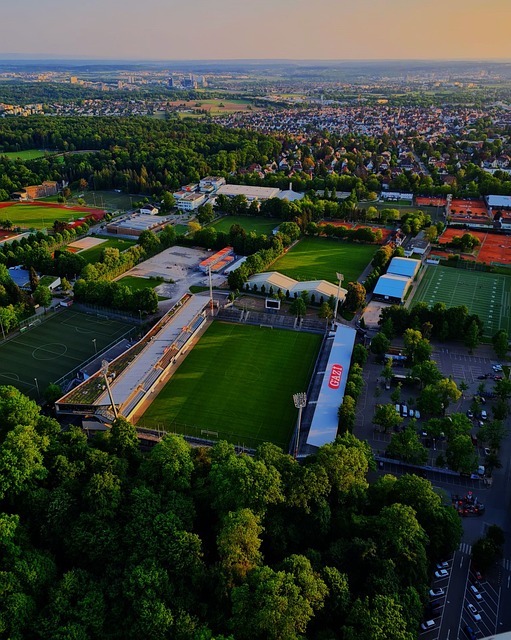 究竟是什么 究竟是什么