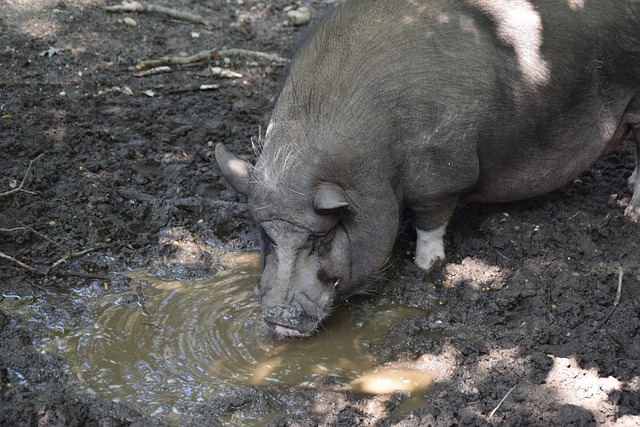 不僅是對觀 不僅是對觀