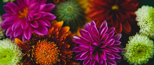 尼的第二个 尼的第二个