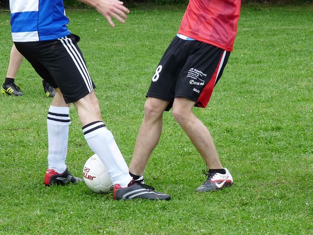 会通过调整 会通过调整