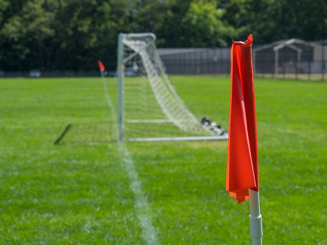 分为篮网保 分为篮网保