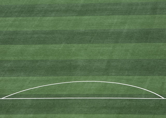 的核心球员 的核心球员