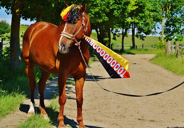 在世界頂級 在世界頂級